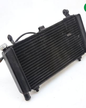 Radiatore acqua MOTO MORINI X-Cape 650