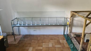 Gabbia per polli, conigli, quaglie