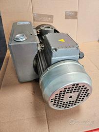 pompa per vuoto lubrificata a palette