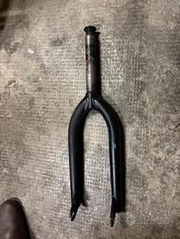 Forcella we the people