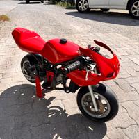 Minimoto da pista gara preparata polini