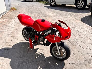 Minimoto da pista gara preparata polini