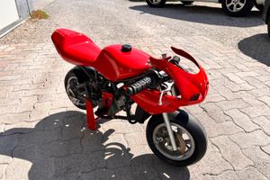 Minimoto da pista gara preparata polini