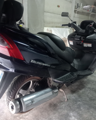 Suzuki Burgman 250