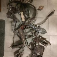 Finimenti borchiati per cavalli
