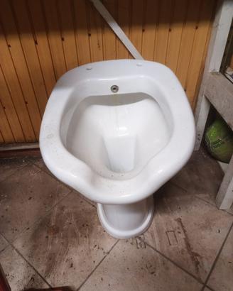 Tazza wc con bidet