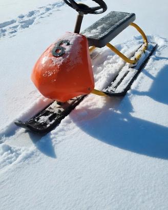 Slittino neve vintage