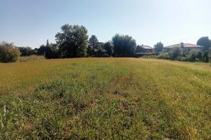 Vendita Terreno Agricolo