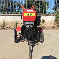 Motozappa Benassi RL15L