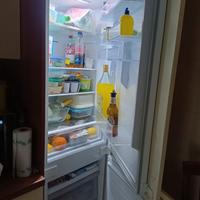 frigo frizer Samsung incasso