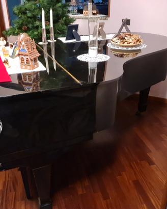 pianoforte a coda  Maeari G85 (Hyundai)