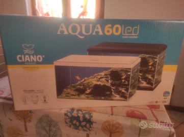 acquario 
