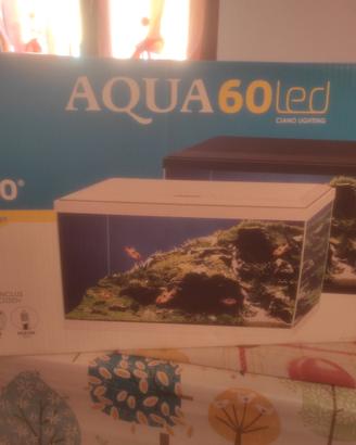 acquario 