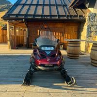 Motoslitta da lavoro