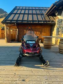 Motoslitta da lavoro