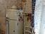 Immagine 12