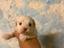 Immagine 18