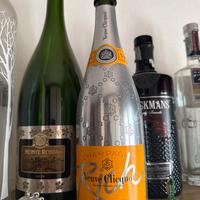 Bottiglie vuote gin e vino