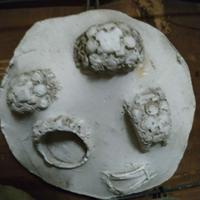 gioielli - campionario