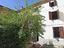 Immagine 28