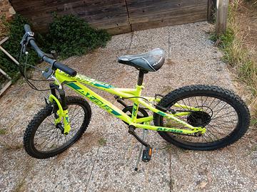 Bicicletta Mountain bike