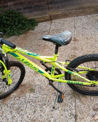 Bicicletta Mountain bike
