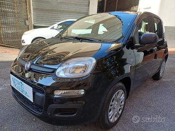 FIAT Panda Pandina 1.0 FireFly S&S Hybrid Icon 5