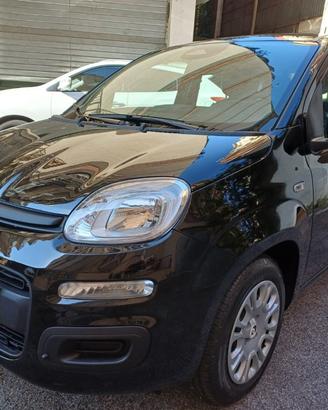 FIAT Panda Pandina 1.0 FireFly S&S Hybrid Icon 5