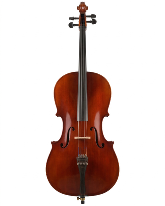 Violoncello 3/4 Liuteria Rumena (2010)