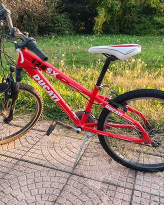 Bicicletta MTB ragazzo 8/12 anni
