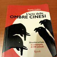 L'arte delle ombre cinesi 