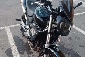 moto hornet