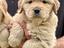 Immagine 12