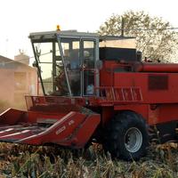 Cinghie Mietitrebbia Laverda M132