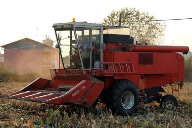 Cinghie Mietitrebbia Laverda M132