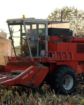 Cinghie Mietitrebbia Laverda M132