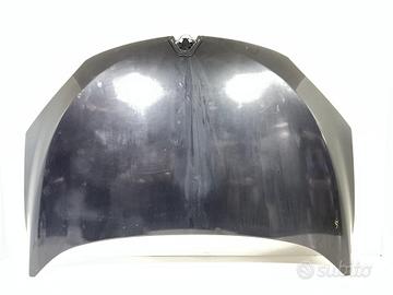 COFANO ANTERIORE RENAULT Megane III 651009018R (08
