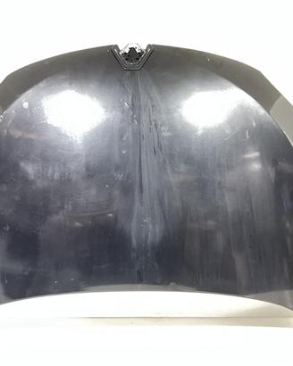 COFANO ANTERIORE RENAULT Megane III 651009018R (08