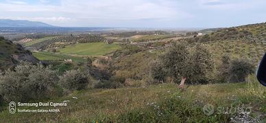 Terreno per motocross