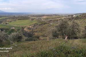Terreno per motocross