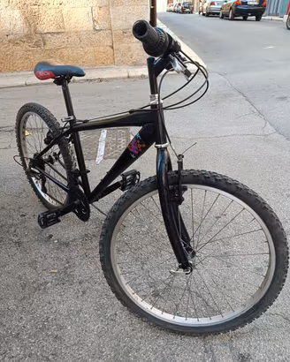 MTB 24"