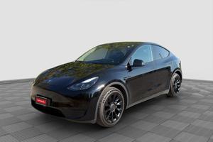 TESLA Model Y Model Y RWD