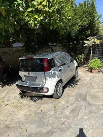 Panda Metano incidentata