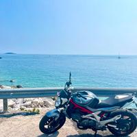 Suzuki gladius