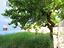 Immagine 21