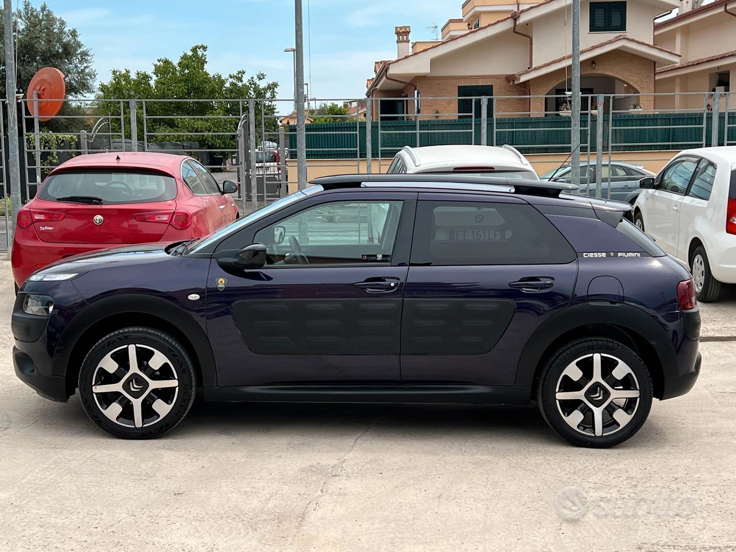 C4 cactus cs discount piumini