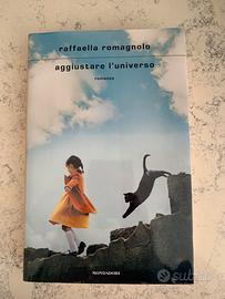 Libro dal titolo “Aggiustare l’universo”.