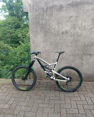 YT capra