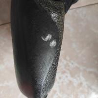 Scarpe in neoprene nuoto 