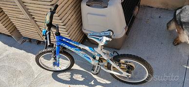 bicicletta 